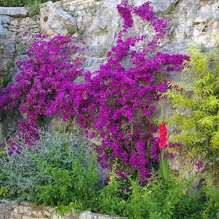 B&B Villa Clodia Hotel