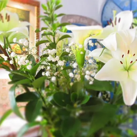 B&B Villa Clodia فندق